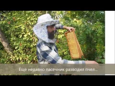 Незаконное строительство коттеджей, дороги, рейдерский захват