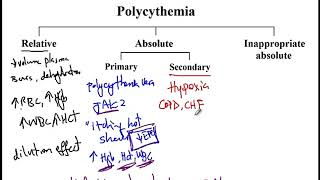 USMLE ACE Video 166: Polycythemia