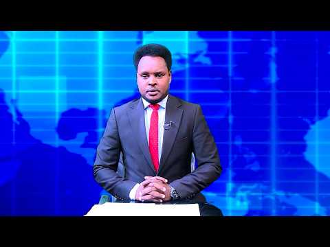 Warka Universal TV 04 10 2026