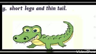 lesson (6) Classification of vertebrates