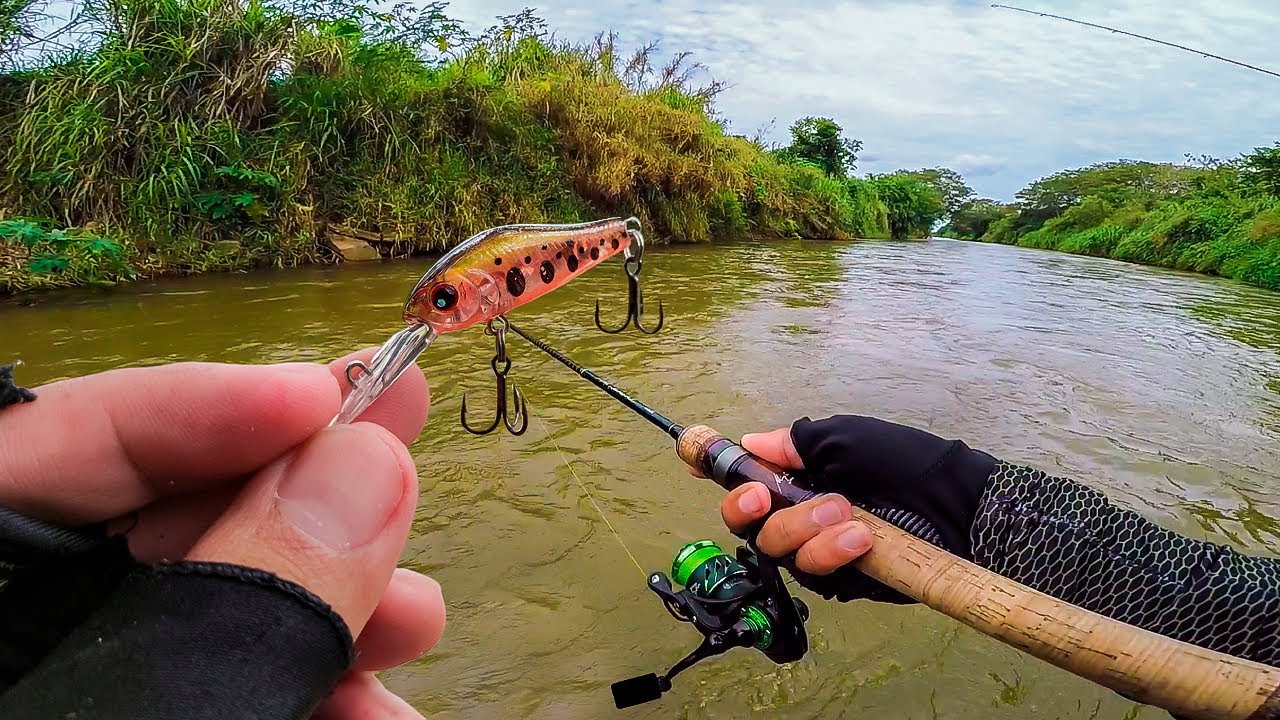 EU SABIA QUE ESSA ISCA IA DAR SHOW... É SÓ CAIR NA ÁGUA! Pescaria Ultralight
