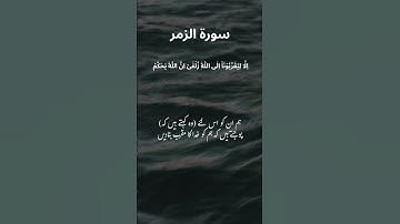 This Surah relax you | سورة الزمر #foryou #quotes #islamicscripture #quransurah #bayan #duet