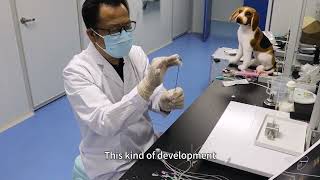 Nicola Medical Pigtail Type Cat Catheter