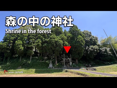 森の中の神社【東山若宮神社】