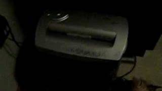 The Paper Shredder Dog