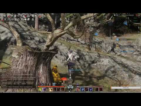 bless online  прохождение