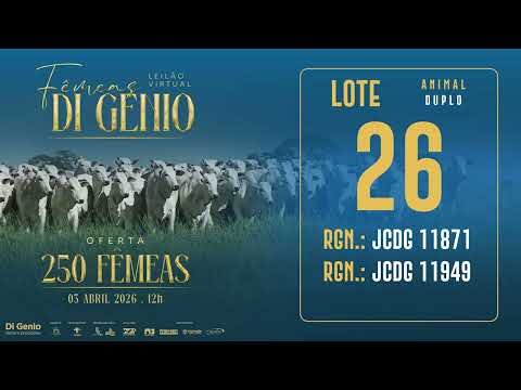LOTE 26 JCDG 11871 11949