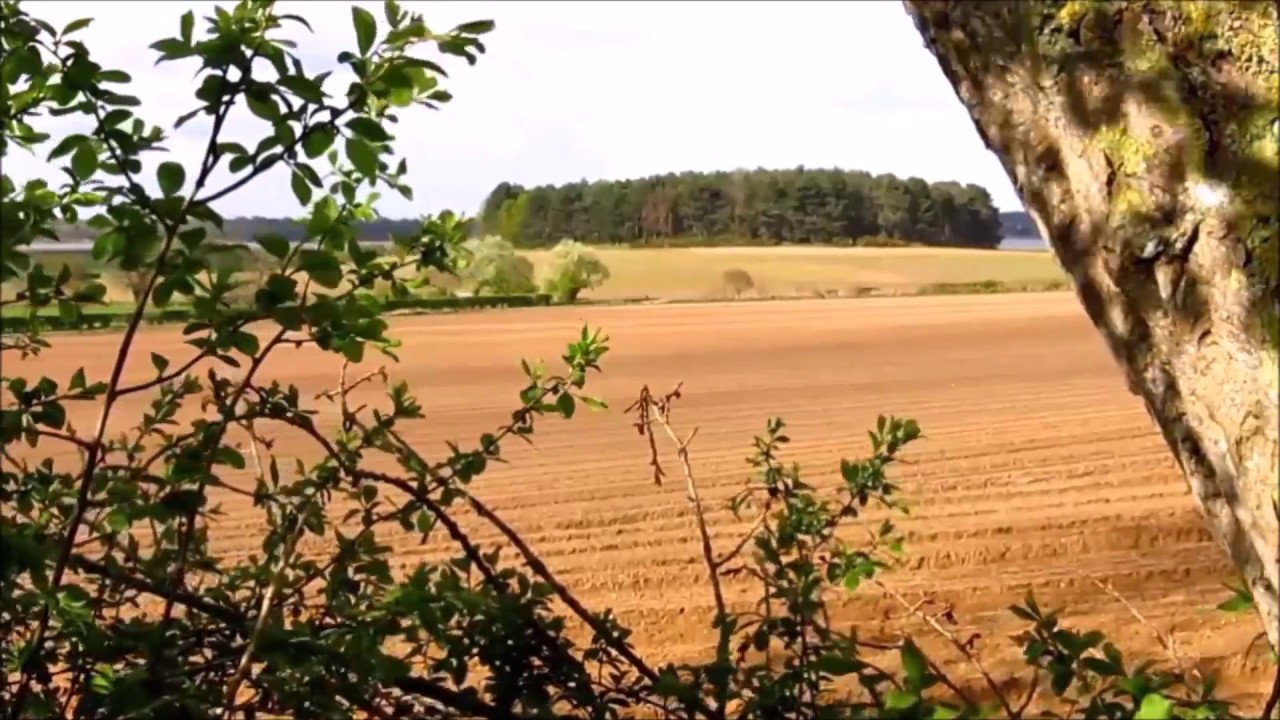 Iken, Slaughden, Yarn Hill, Orford Ness YouTube