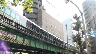 E655系TR車日章旗菊の御門掲出御乗用列車　万世橋付近