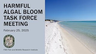 HAB Task Force Meeting: February 25, 2025