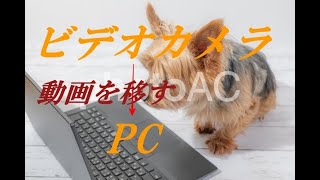 ビデオカメラの動画をPCに取り込む方法