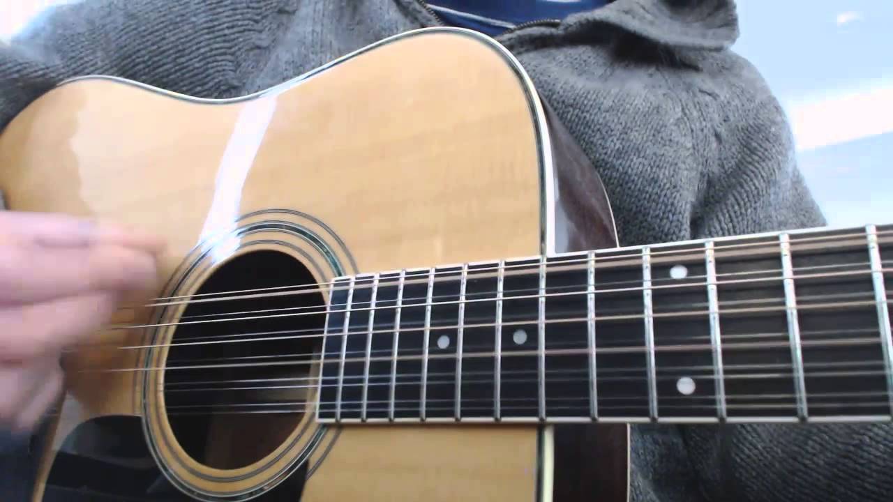 hohner 12 string guitar