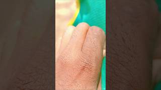 Small scorpion 🦂#scorpion #insects #ytshorts