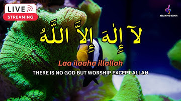 LAILAHAILLALLAH: Sleep Dzikir For Reduce stress #36