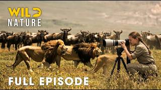 Ultimate Predators: When Lion Attack (Full Episode)