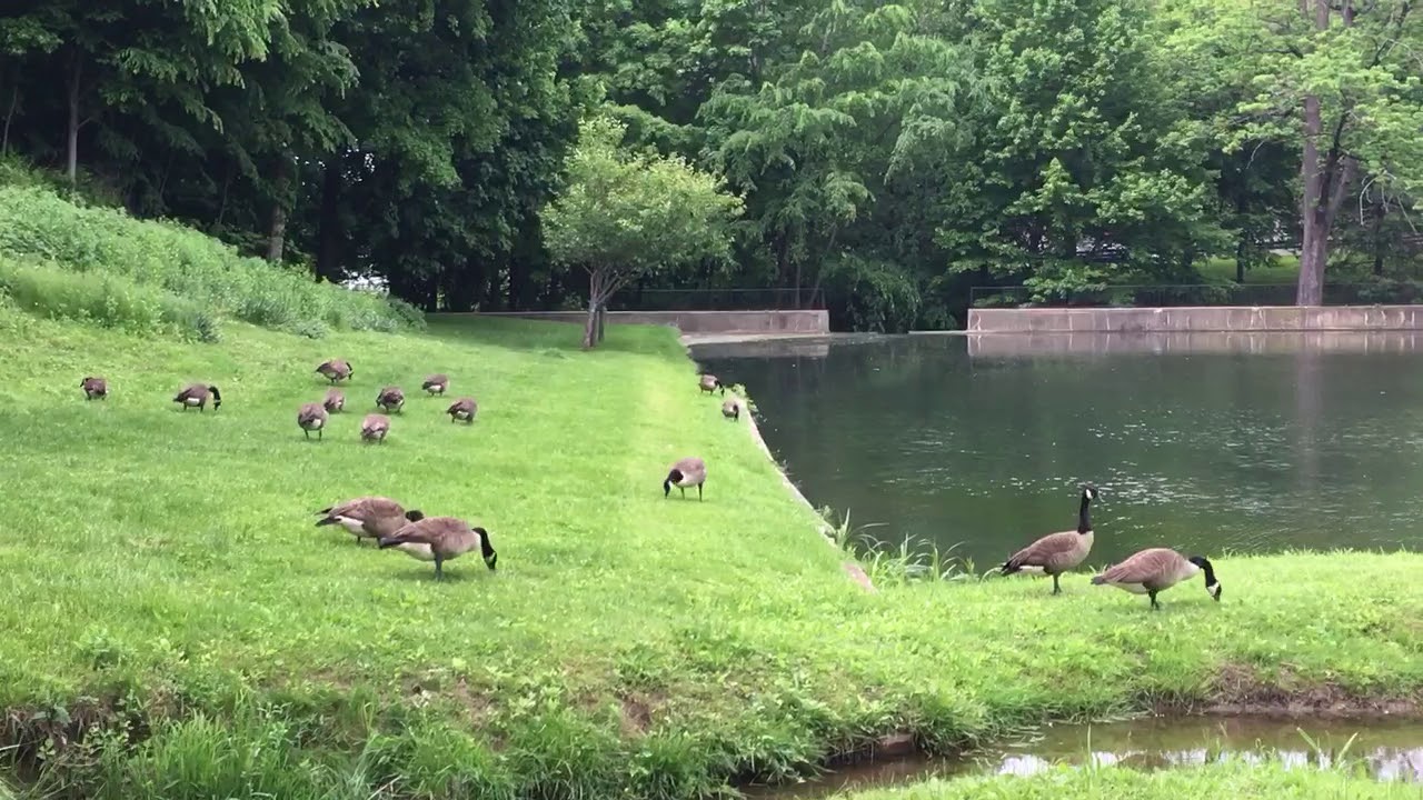 Thornwood Park Westchester NY YouTube