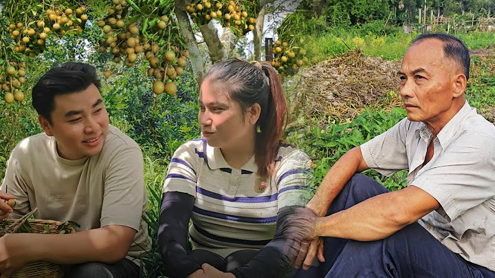 Homeless girl harvests longan with CEO without knowing her stepfather is struggling to pay off debt