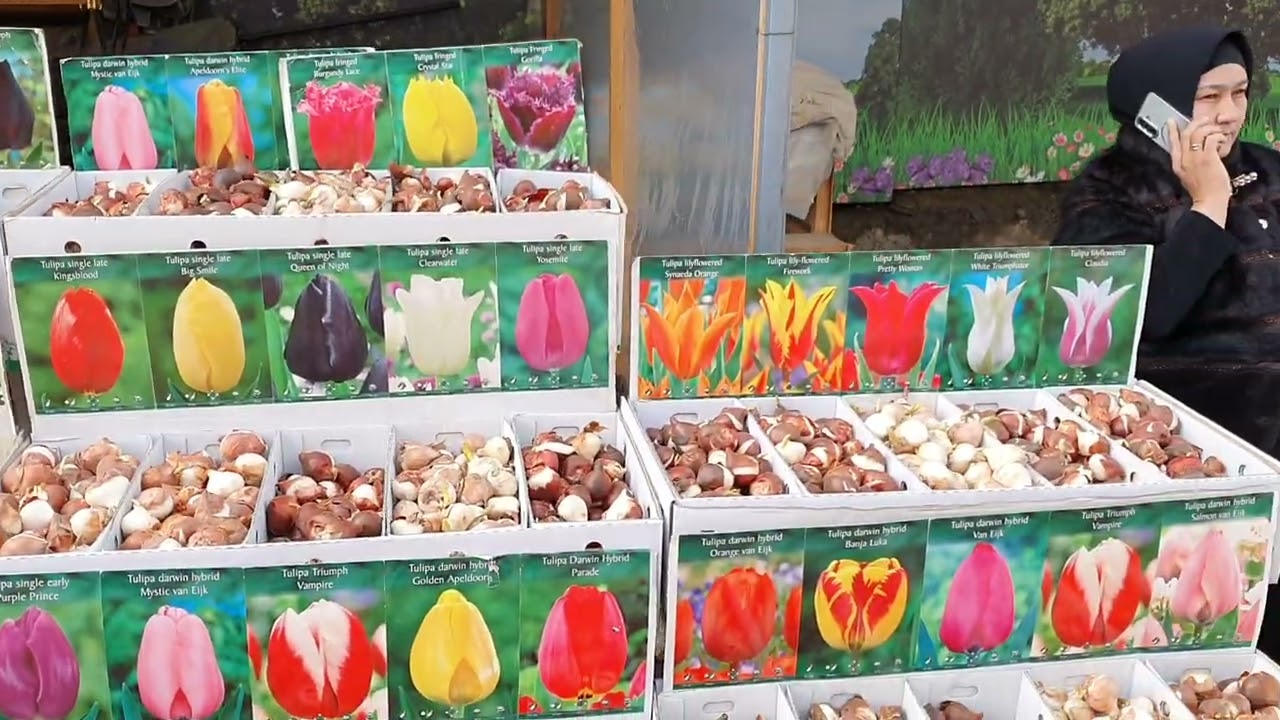 MUHAMMADALI CHORSU GULARI BIZDA BAHOR 🌹🌹🌹🌷🌷🌷🌸🌸💐💐💐https://t.me/+HEsnli9dk3g0NDgy