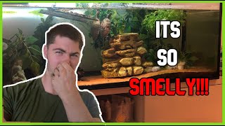 How to get rid of  that turtle tank smell