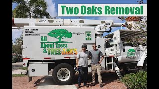 Watch Trees Jaw video