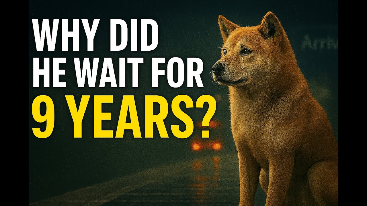 The Dog Who Waited 9 Years – The Heartbreaking True Story of Hachiko ...