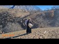 🏔️ Hard Nomadic Life | 🛖 Building a Cabin in Nature