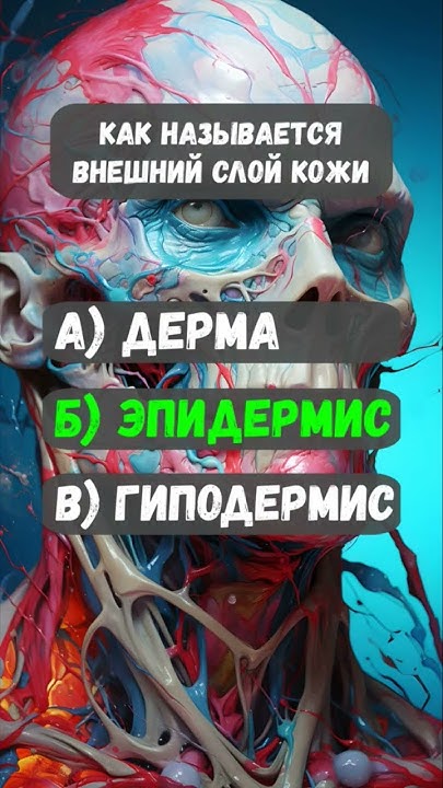 #ерудиция #факты #ответынавопросы #прокачайсебя - YouTube