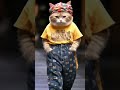 -By My kids songs #music #lullaby #baby #story #sleep #little#cat #cats #catvideos