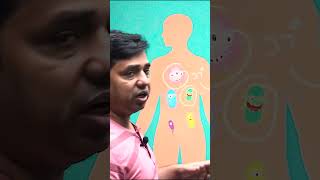 Fever Danger Zone: How High Can a Fever Get Before It's Dangerous? (In Hindi)