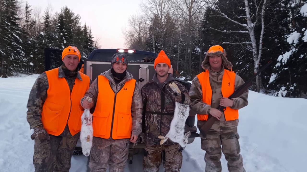 Snowshoe Hare Hunting With Beagles Briar Run Guide Service YouTube Snowshoe Hare Hunting With Beagles Briar Run Guide Service YouTube