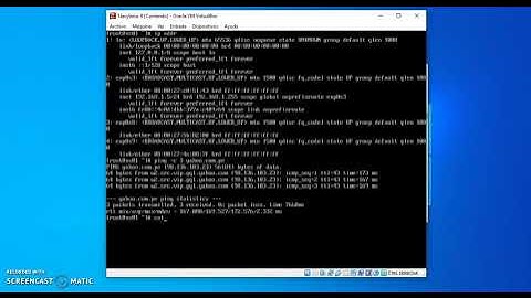 Configurar interfaces de red Ethernet en Navy Linux 8, Rocky Linux, Alma Linux, CentOS Linux 8