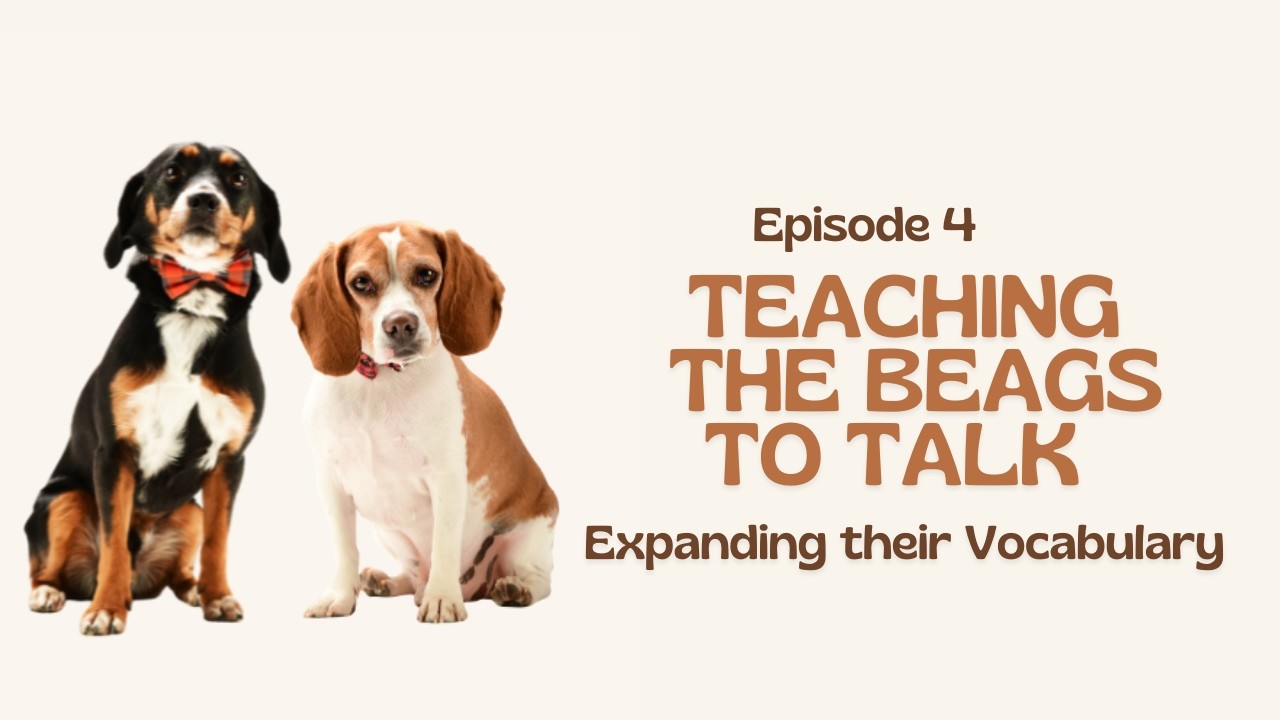 Teaching My Beagles to Talk Using FluentPet, Hunger for Words & Gelabur Buttons | Week 4
