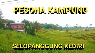THE BEAUTIFUL CHARM OF SELOPANGGUNG VILLAGE, SEMEN, KEDIRI // THE SLOPES OF MOUNT WILIS