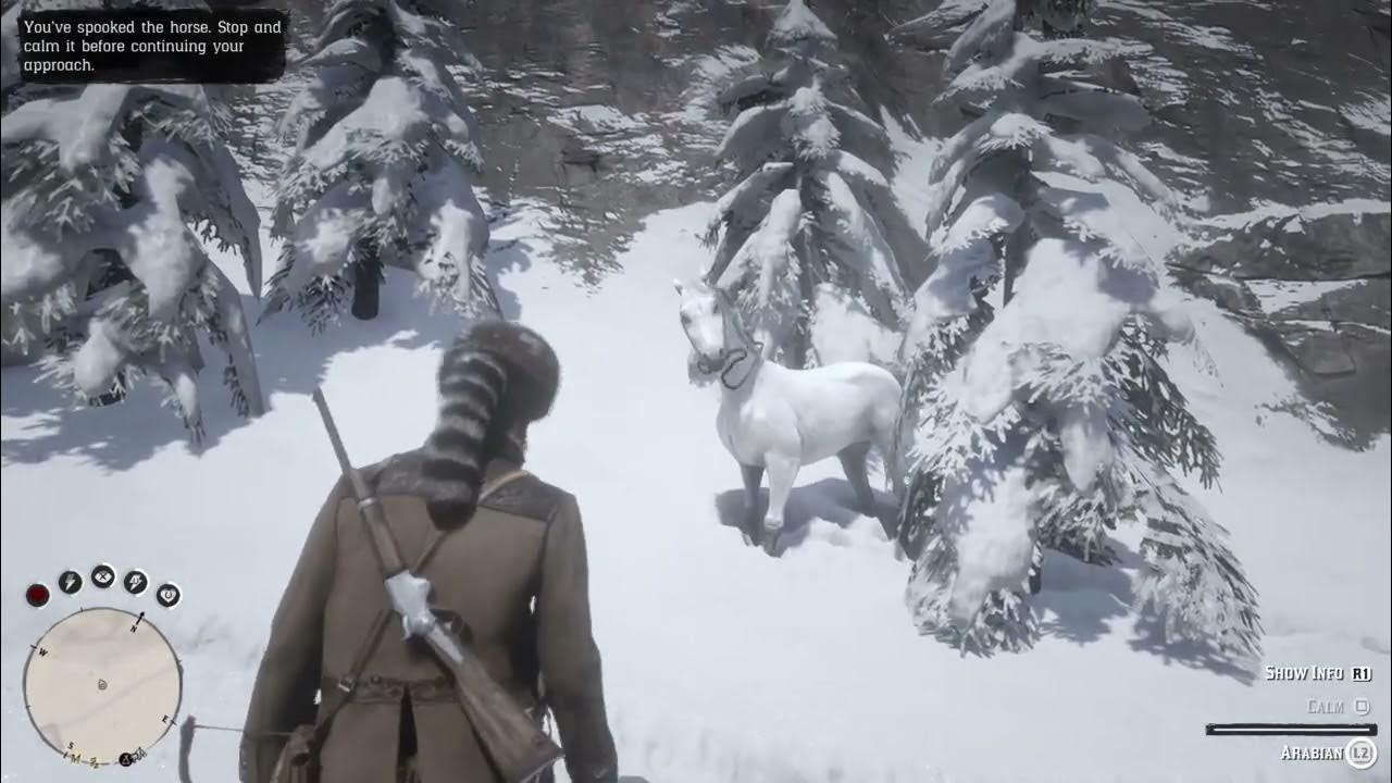 RDR2 Tracking THAT Horse for a While When This Happened... YouTube
