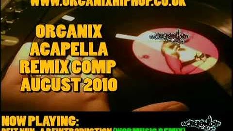 Beit Nun   A Reintroduction Wormusic Remix    Organix Remix Comp  01
