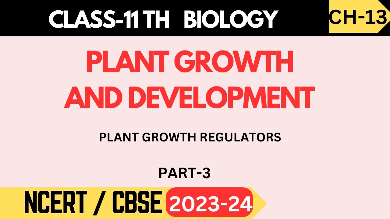 Class 11 Biology | Chapter 13 | Plant Growth and Development | Plant ...