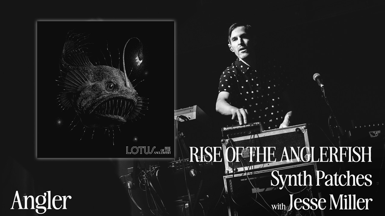 Rise of the Anglerfish - Synth Patches with Jesse Miller series #3 Angler (bass synth)