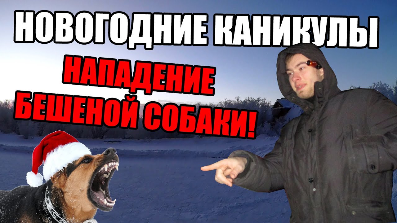 Новогодние Влоги Каникулы Новогодние Влоги Каникулы