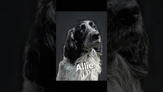 🎬 Spoolyard Cast: Episode 41 – Allie