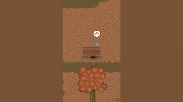 Bug of the Day: Assassin Bug