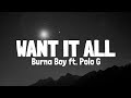 Burna Boy - Want It All feat. Polo G (Lyrics)