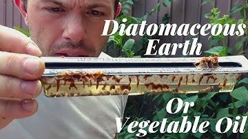 🔵Beetle Blaster (SHB) elimination results! Part 2