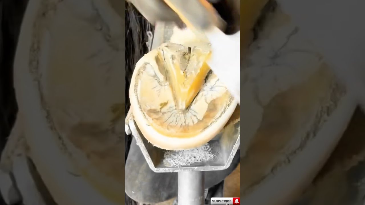 Super Clean Hoof Trim.  .Grant moon farrier Vídeos.