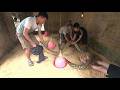 Giant Python Wrapped Around Girl in Abandoned House – Shocking Rescue