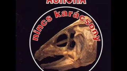Auróra - Nincs karácsony