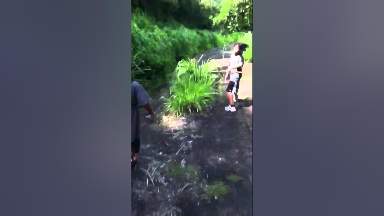 Kipapa Gulch Hike Part I YouTube