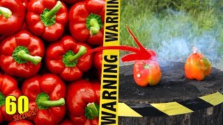 60 SECONDS Experiment - FIRECRACKERS | PETARD VS Red Pepper | CRASH TEST