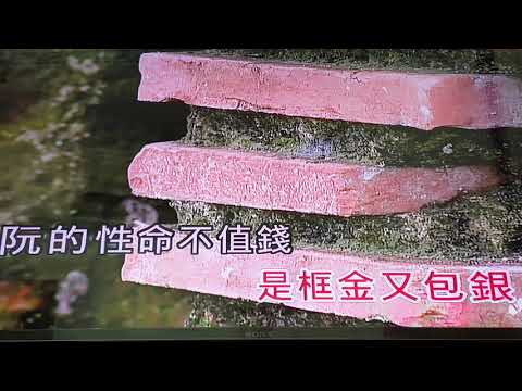練唱娛樂🎤曲475【 金包銀 】原唱蔡秋鳳＆翻唱美娥