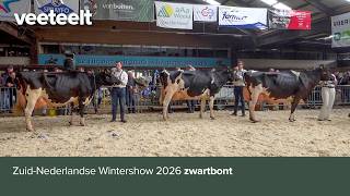 Zuidnederlandse Wintershow 2026 Zwartbont