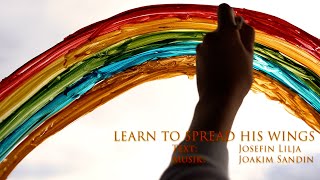 Video thumbnail of "Learn to spread his wings - Joakim Sandin"